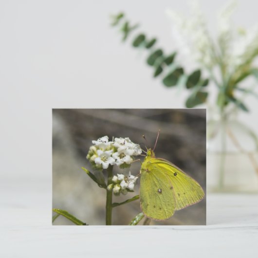 Gele vlinder briefkaart (Staand voorkant)