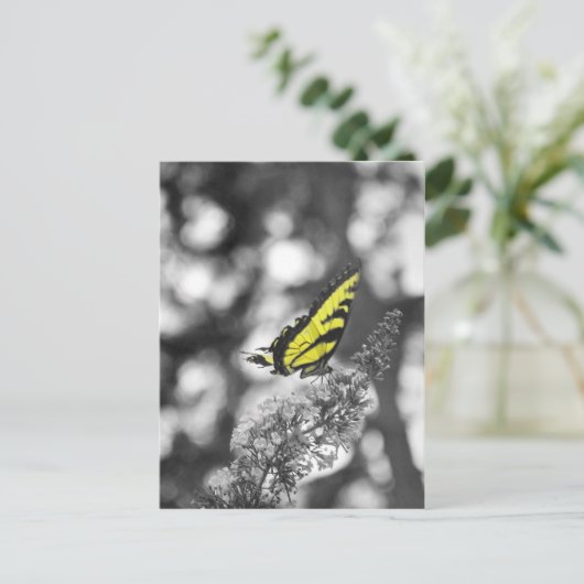 Gele Vlinder Briefkaart (Staand voorkant)