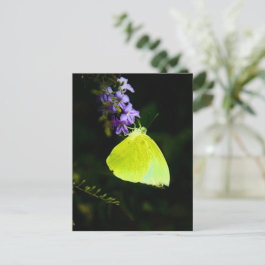 Gele vlinder - briefkaarten (Staand voorkant)