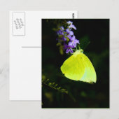 Gele vlinder - briefkaarten (Voorkant / Achterkant)