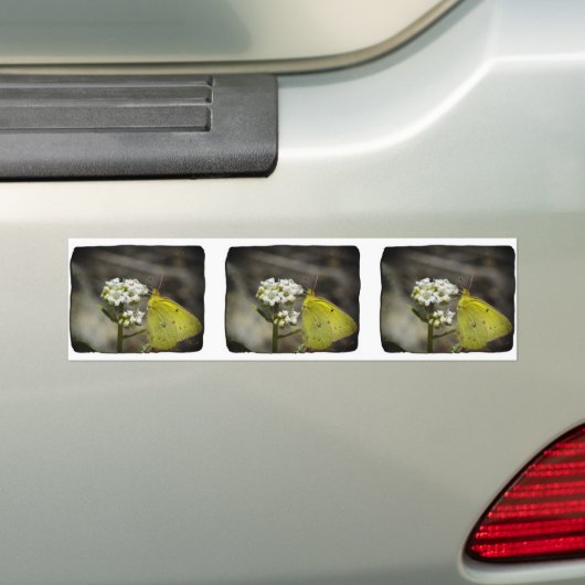 Gele vlinder bumpersticker (Op auto)