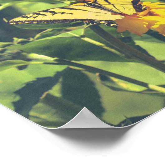 Gele vlinder en bloemen poster (Hoek)