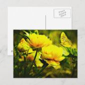 Gele vlinder en Roos Briefkaart (Voorkant / Achterkant)