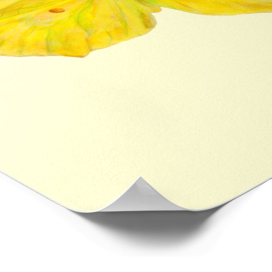 Gele vlinder Gewone citroenvlinder vliegend  Poster (Hoek)