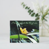 Gele vlinder in het Briefkaart van de zon (Staand voorkant)