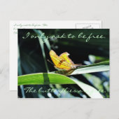 Gele vlinder in het Briefkaart van de zon (Voorkant / Achterkant)