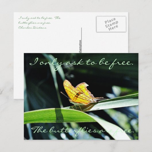 Gele vlinder in het Briefkaart van de zon (Voorkant / Achterkant)