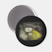 Gele vlinder magneet (Voorkant / Achterkant)