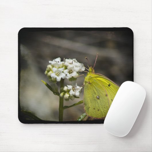 Gele vlinder muismat (Met muis)