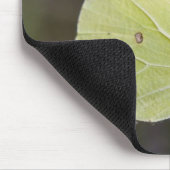 gele vlinder muismat (Hoek)