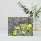 Gele vlinder op gele bloem briefkaart (Staand voorkant)