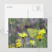 Gele vlinder op gele bloem briefkaart (Voorkant / Achterkant)