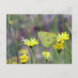 Gele vlinder op gele bloem briefkaart