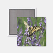 Gele vlinder op lavendel magneet (Voorkant / Achterkant)