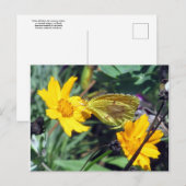 Gele vlinder op Oranje bloemen Briefkaart (Voorkant / Achterkant)