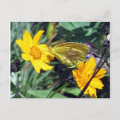 Gele vlinder op Oranje bloemen Briefkaart (Voorkant)