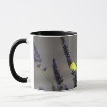 Gele vlinder op paarse lavendel macro foto
