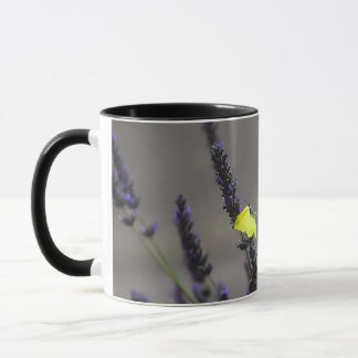 Gele vlinder op paarse lavendel macro foto mok