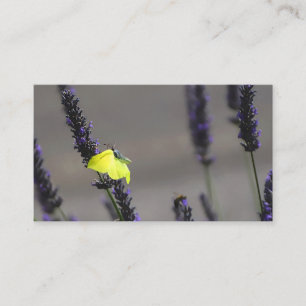 Gele vlinder op paarse lavendel macro foto visitekaartje