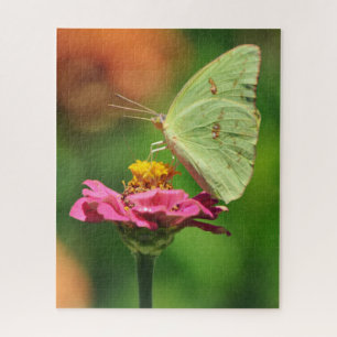Gele vlinder op roze bloem Natuur grote puzzel