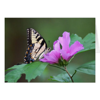 Gele vlinder op roze poten