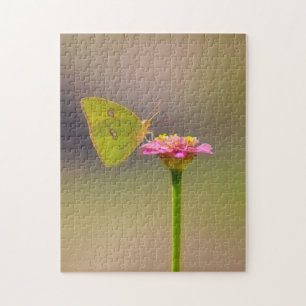 Gele Vlinder op Roze Zinnia Bloem Legpuzzel