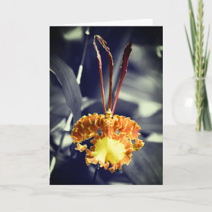 Gele vlinder orchidee bloem kaart