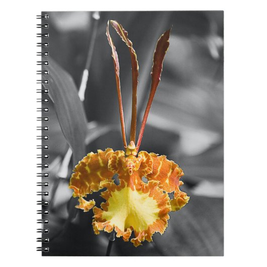 Gele vlinder orchidee bloem notitieboek (Voorkant)