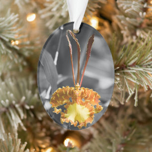 Gele vlinder orchidee bloem ornament