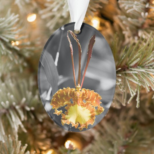 Gele vlinder orchidee bloem ornament (Boom)