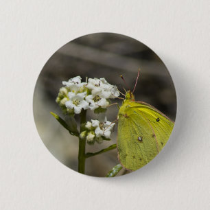 Gele vlinder ronde button 5,7 cm