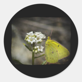 Gele vlinder ronde sticker