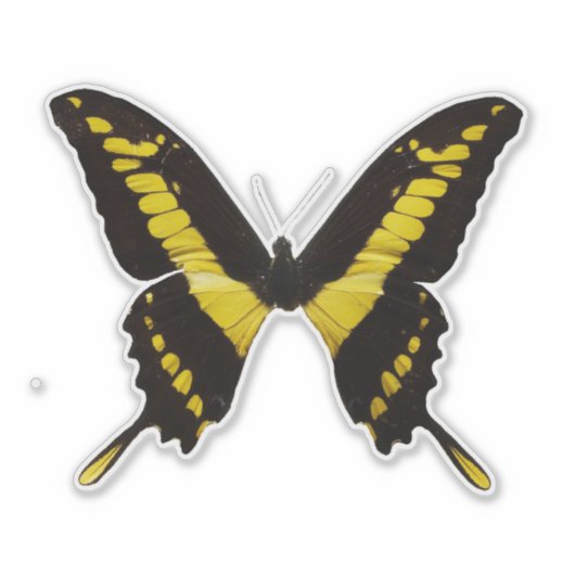 Gele vlinder sticker (Voorkant)