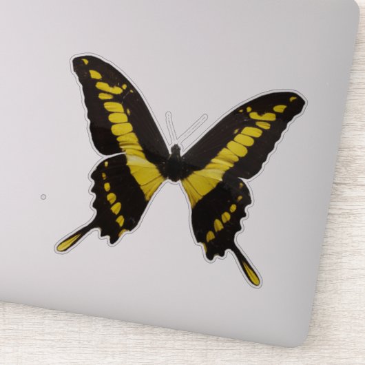 Gele vlinder sticker (Detail)