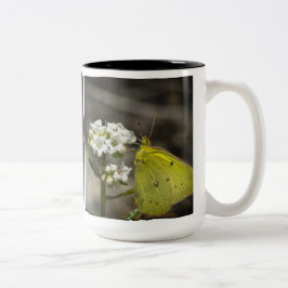 Gele vlinder tweekleurige koffiemok