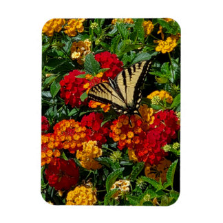 gele vlinderstaartvlinder oranje & rode bloemen magneet