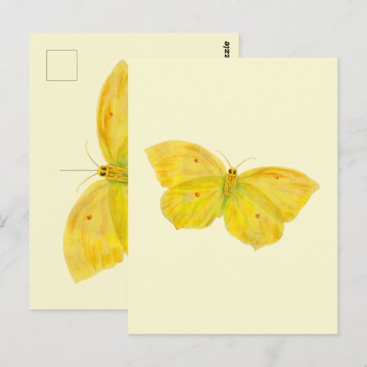 Gele vlindervliegende brimstone briefkaart (Voorkant / Achterkant)