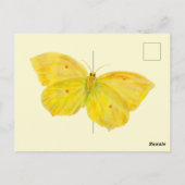 Gele vlindervliegende brimstone briefkaart (Achterkant)