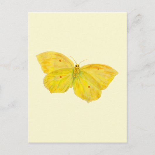 Gele vlindervliegende brimstone briefkaart (Voorkant)