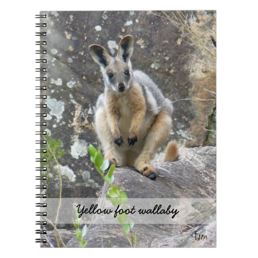 gele voetachtergrond notitieboek (Voorkant)