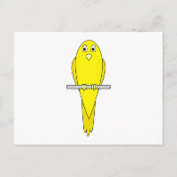 Gele vogel. Canarische. Op wit.