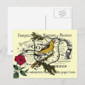  gele vogel Ephemera Collage Briefkaart (Voorkant / Achterkant)