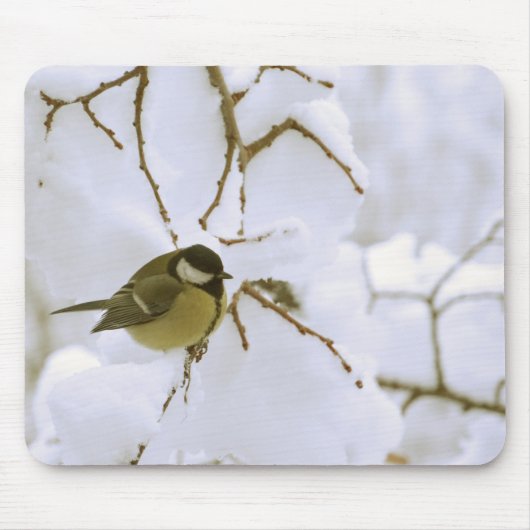 Gele vogel in de sneeuw Foto Mousepad Muismat (Voorkant)