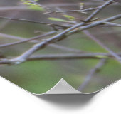 Gele vogel in het Poster van de bomen (Hoek)