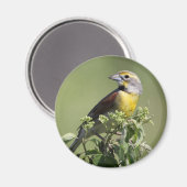 Gele Vogel Magneet (Voorkant / Achterkant)