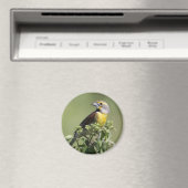 Gele Vogel Magneet (Insitu (Vaatwasser))