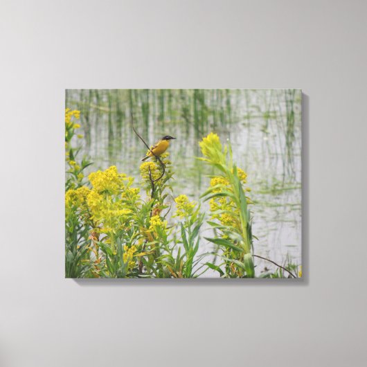 Gele Vogel op Gele Bloemen Canvas Afdruk (Voorkant)