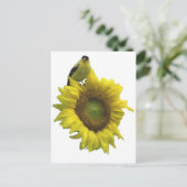 Gele vogel op gele zonnebloem. briefkaart (Staand voorkant)