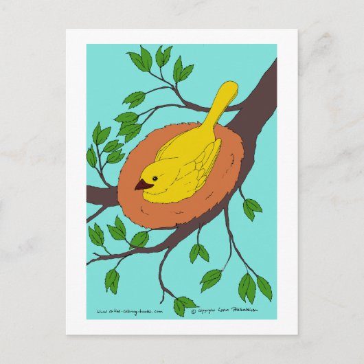 Gele vogelnest briefkaart (Voorkant)