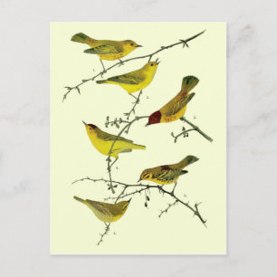 Gele vogels briefkaart